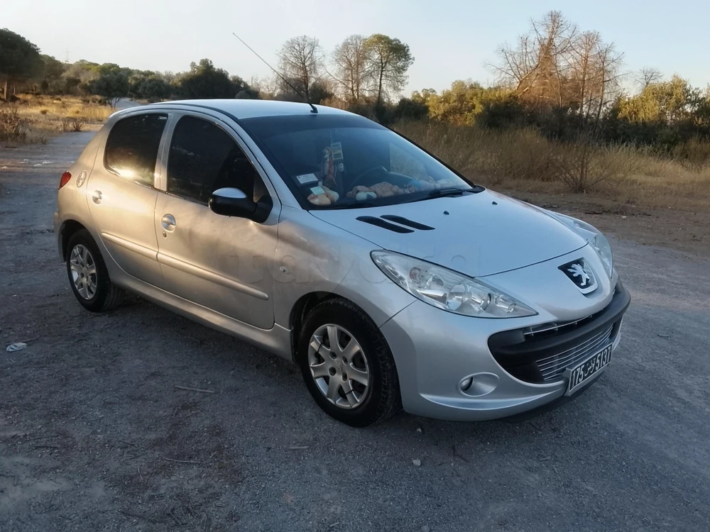 Carte voiture Peugeot 206