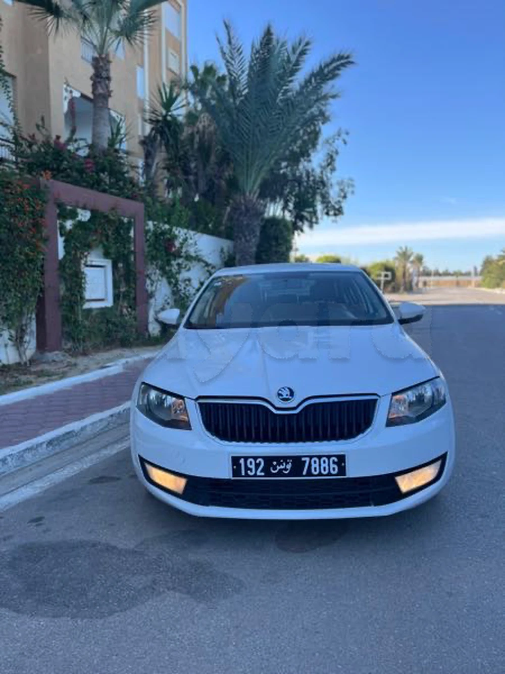 Carte voiture Skoda Octavia