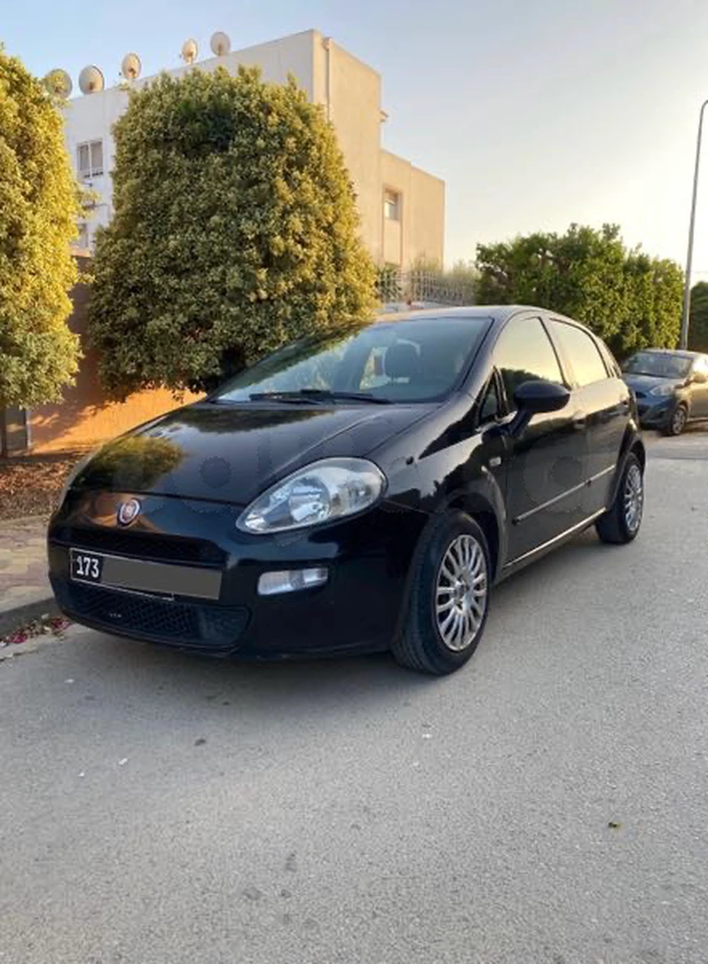 Carte voiture Fiat Punto