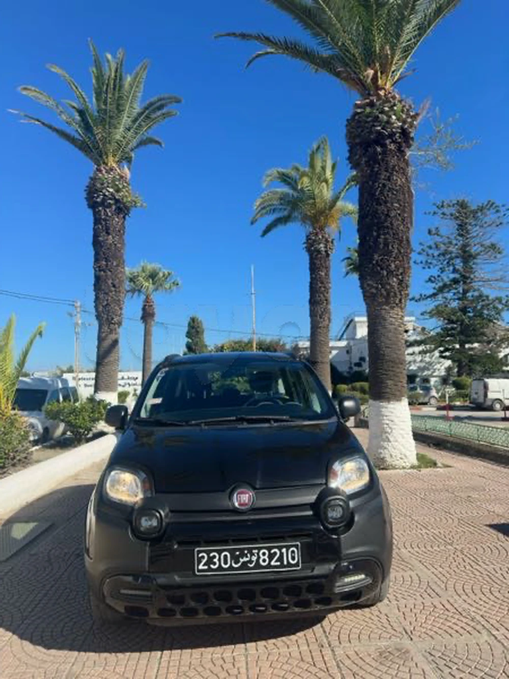 Carte voiture Fiat Panda