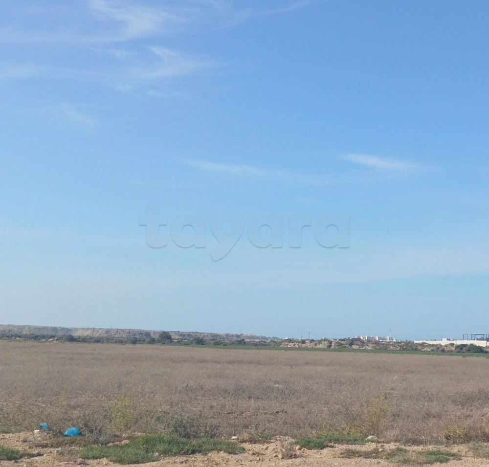 À VENDRE – Terrain à Bhar Lazreg (Route principale, proche du Relais)