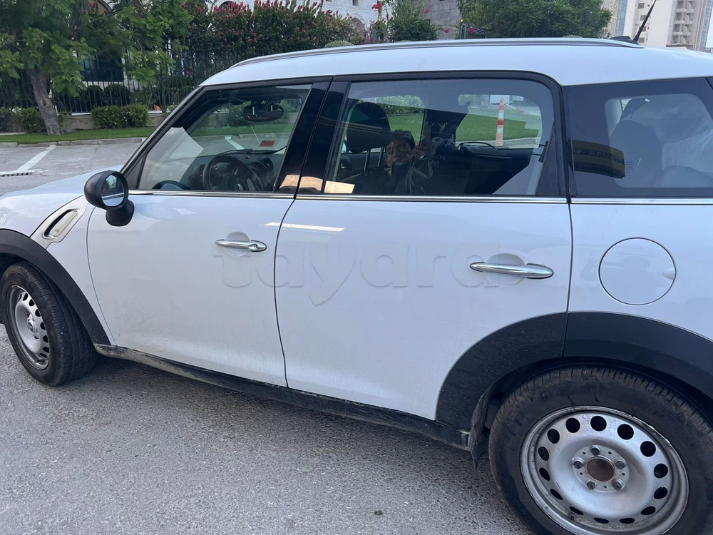 Mini Countryman