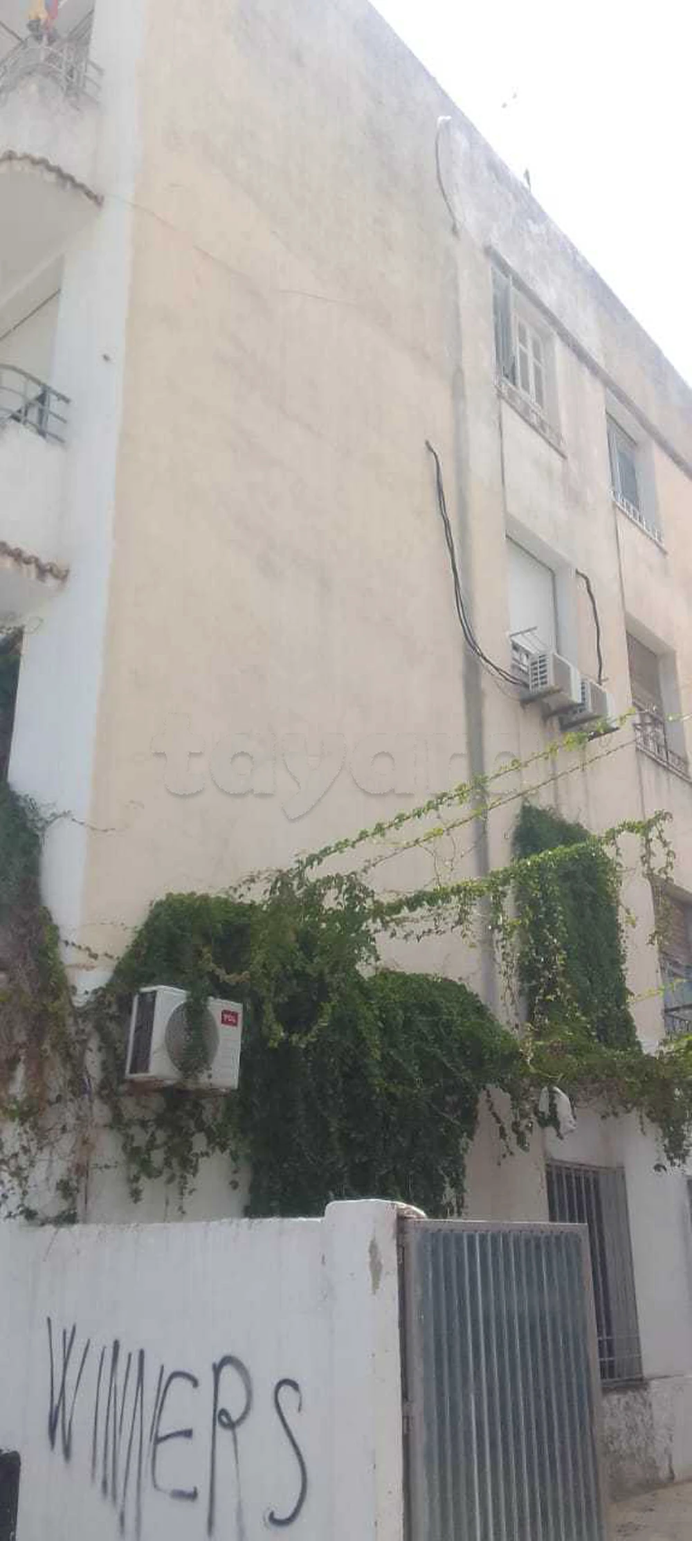 Location appartement S +1