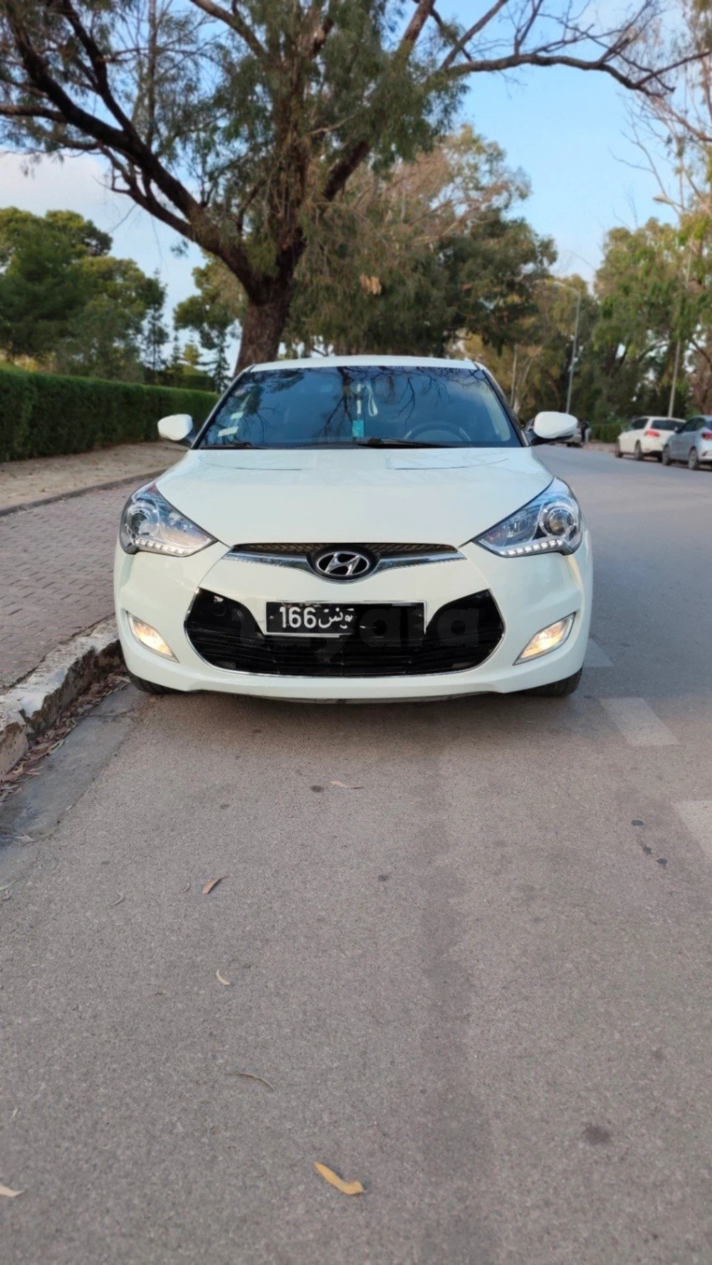 Carte voiture Hyundai Veloster
