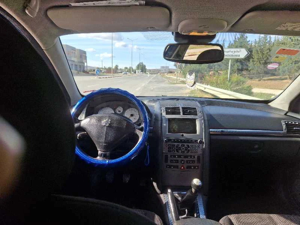 Peugeot 407 SW