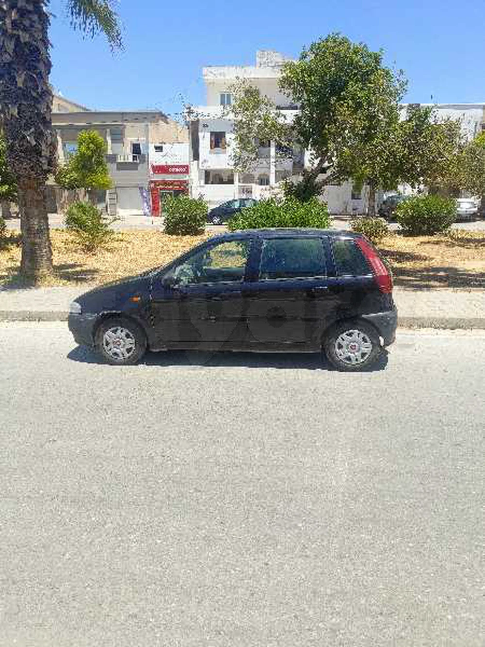 Carte voiture Fiat Punto