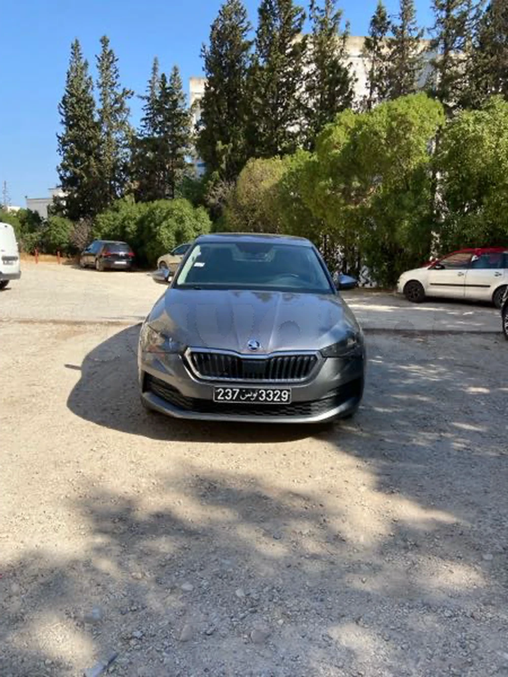 Carte voiture Skoda Octavia
