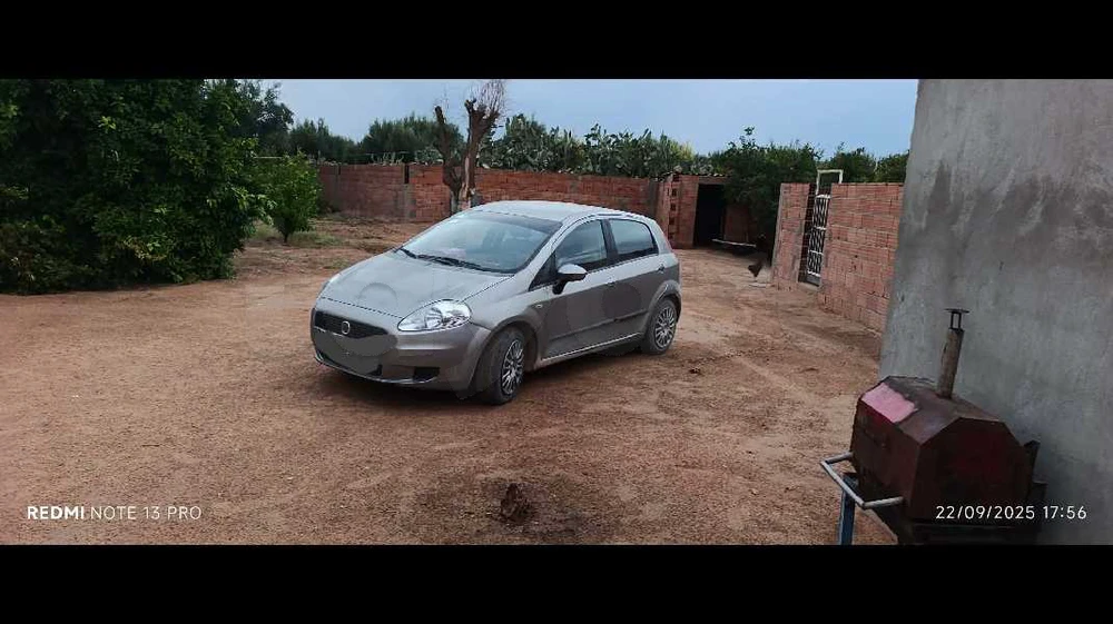 Carte voiture Fiat Punto