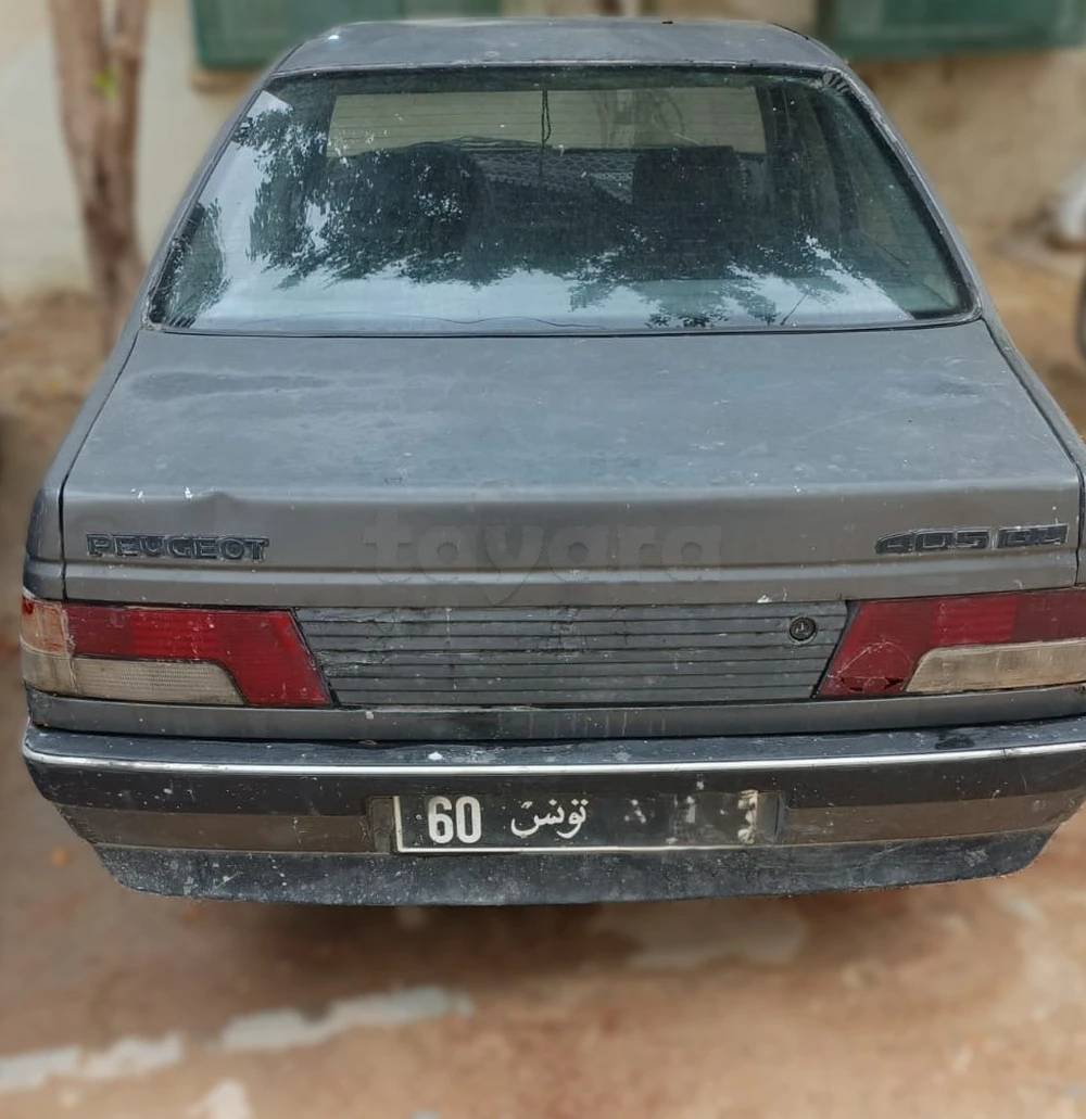 Peugeot 405