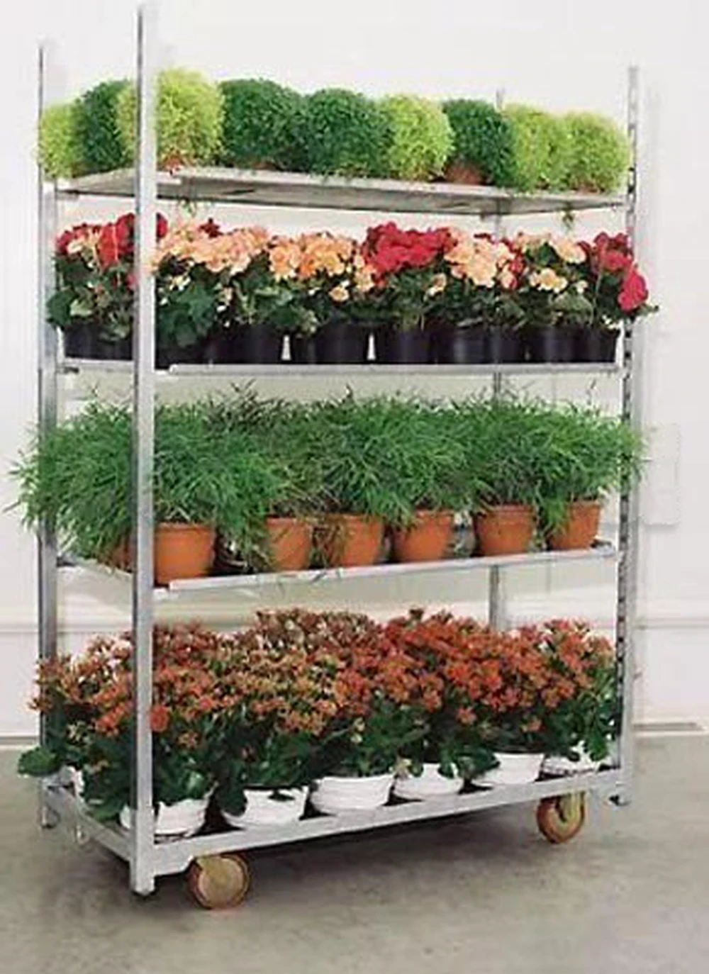 Avendre chariot fleur occasion للبيع عربة زهور مستعملة