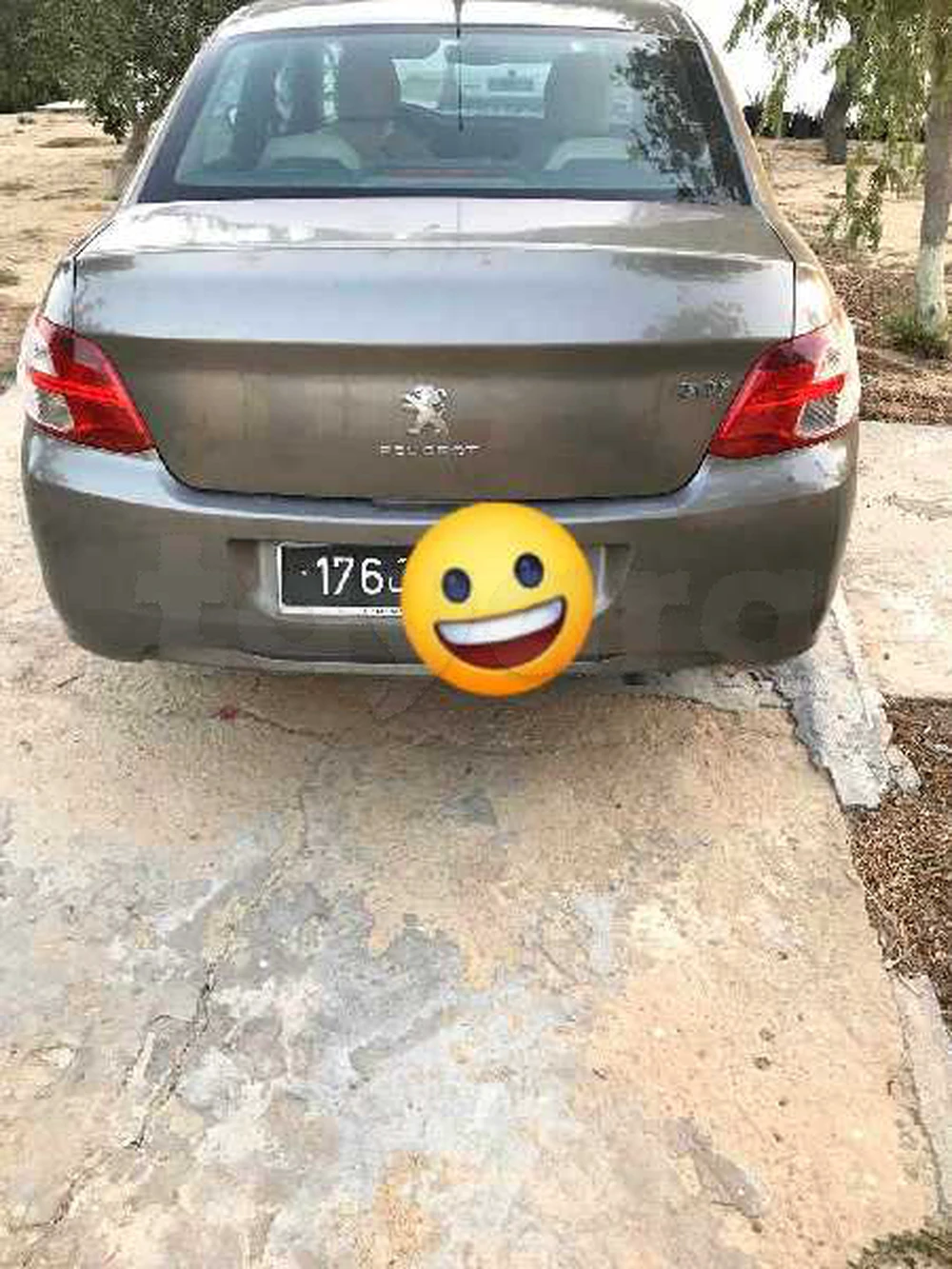 Carte voiture Peugeot 301