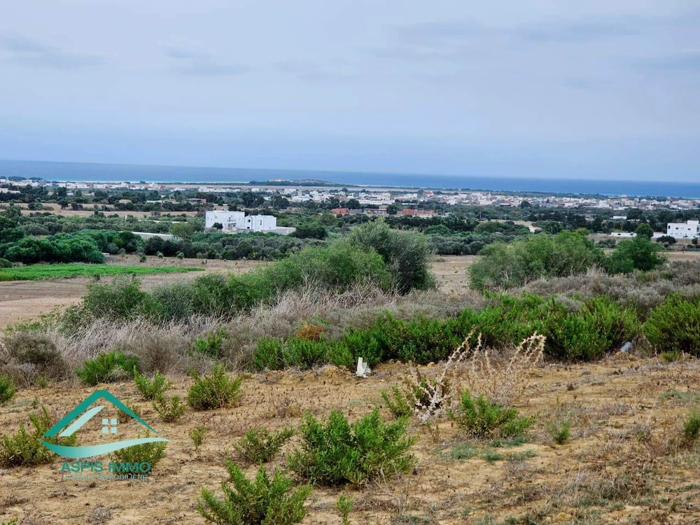Terrain 1200 m² à Tamezrat Kelibia