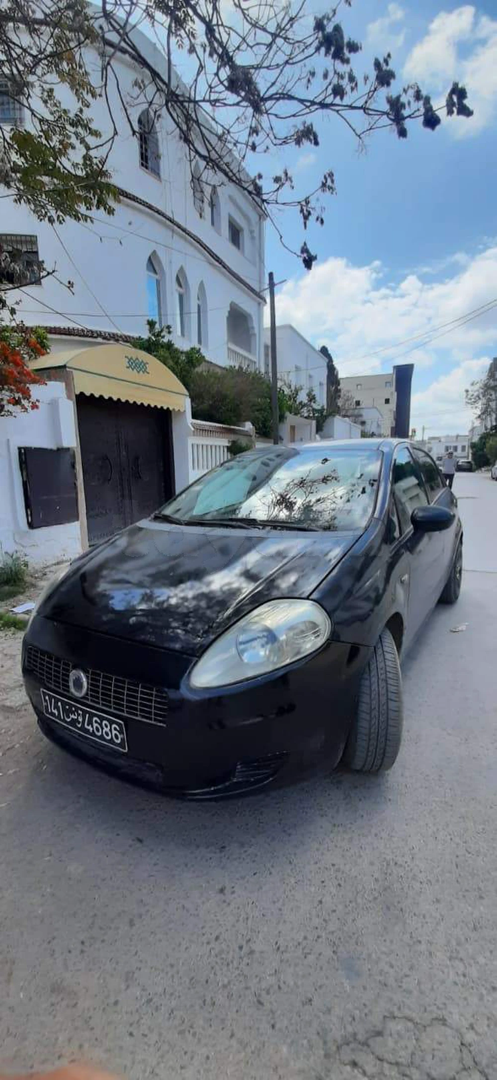 Carte voiture Fiat Punto