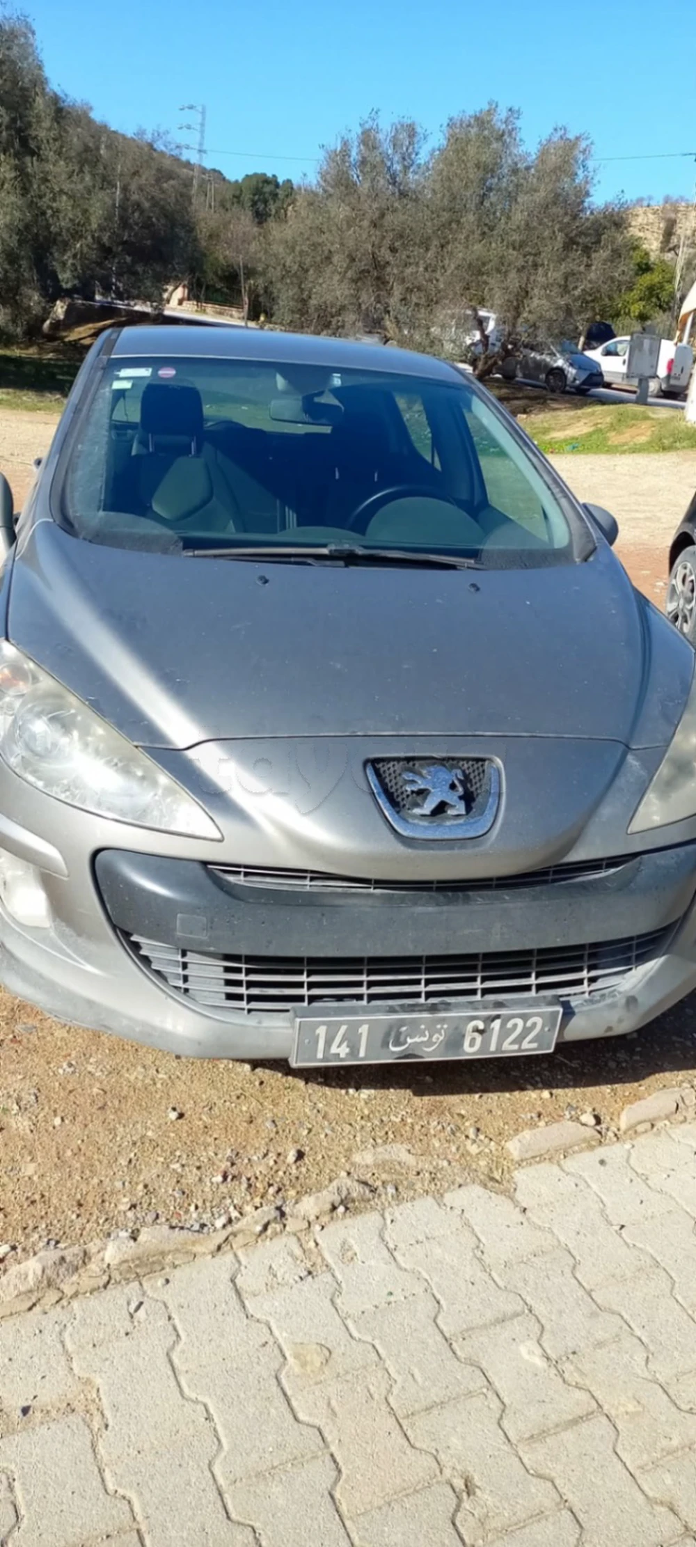 Carte voiture Peugeot 308