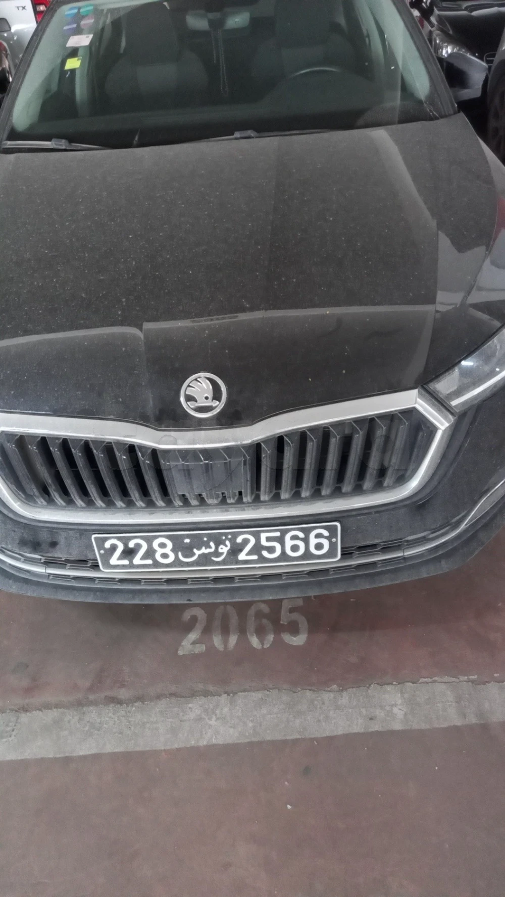 Carte voiture Skoda Octavia