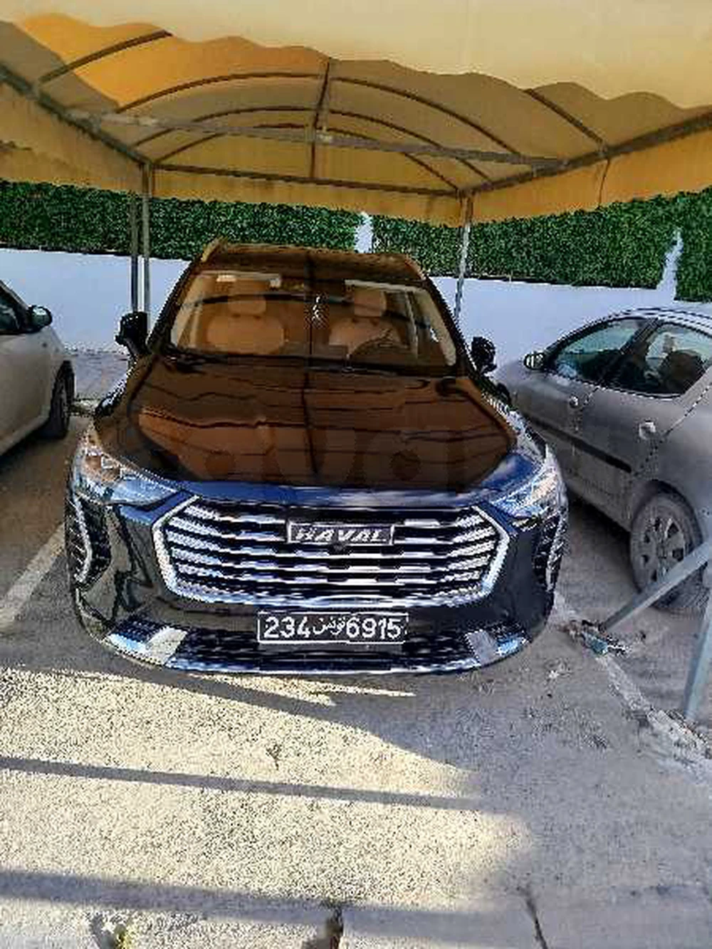 Carte voiture Haval H6