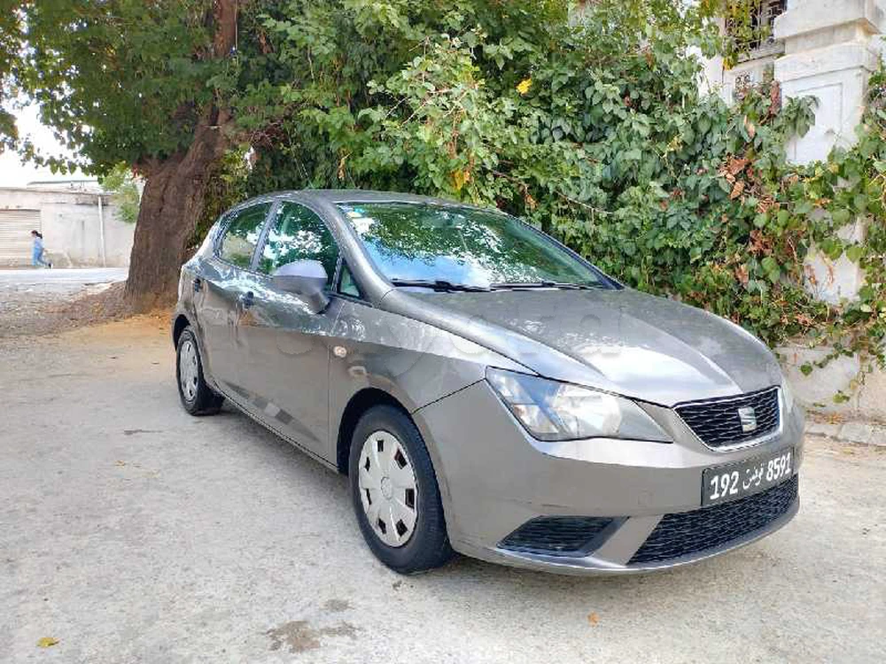 Carte voiture SEAT Ibiza