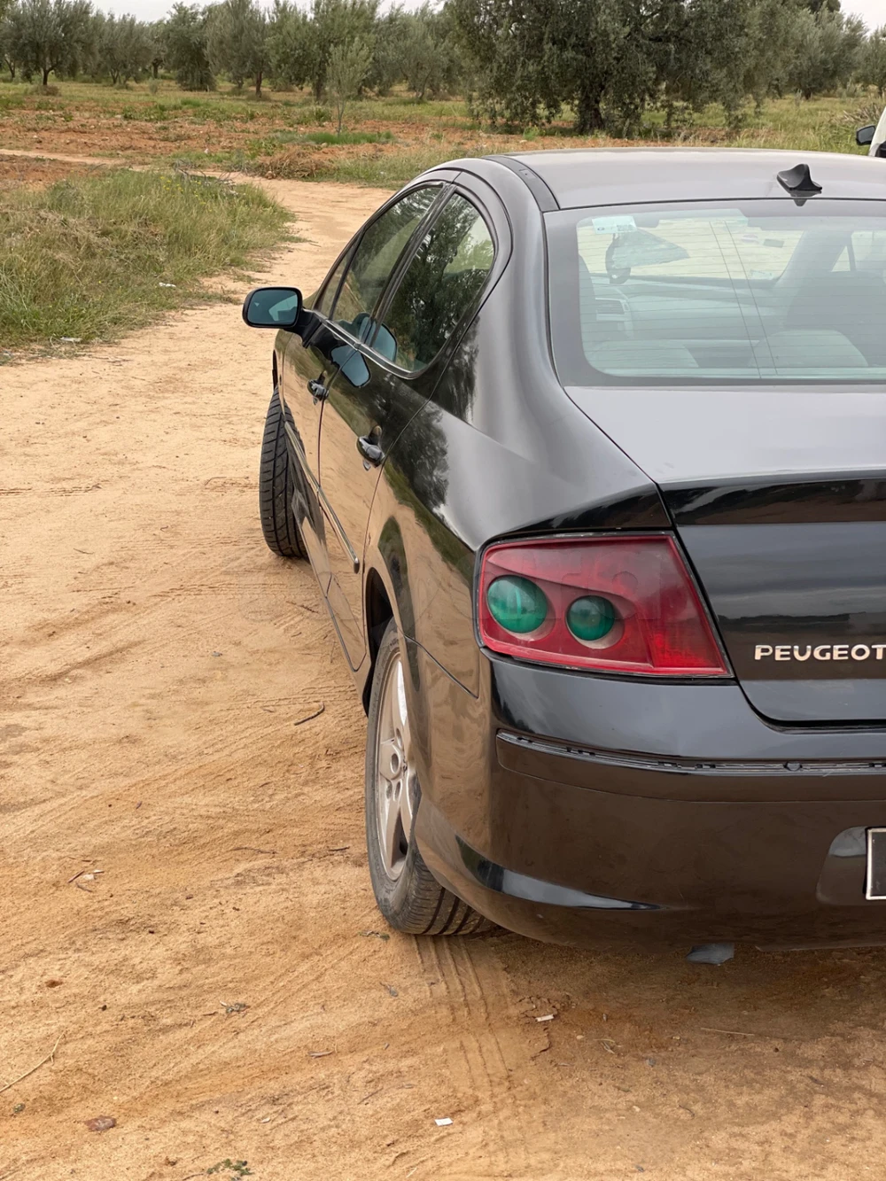 Peugeot 407