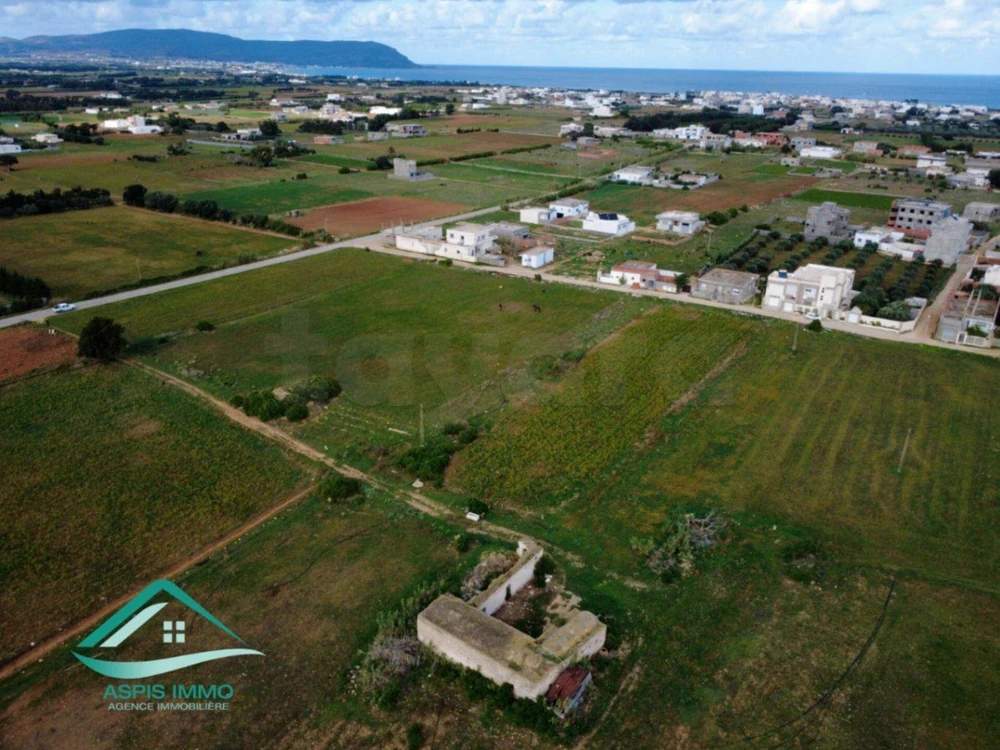 Terrain d'habitation 800 m² à Dar Allouch