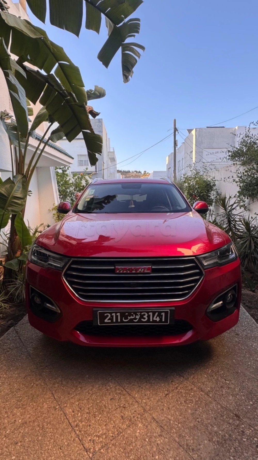 Carte voiture Haval H6