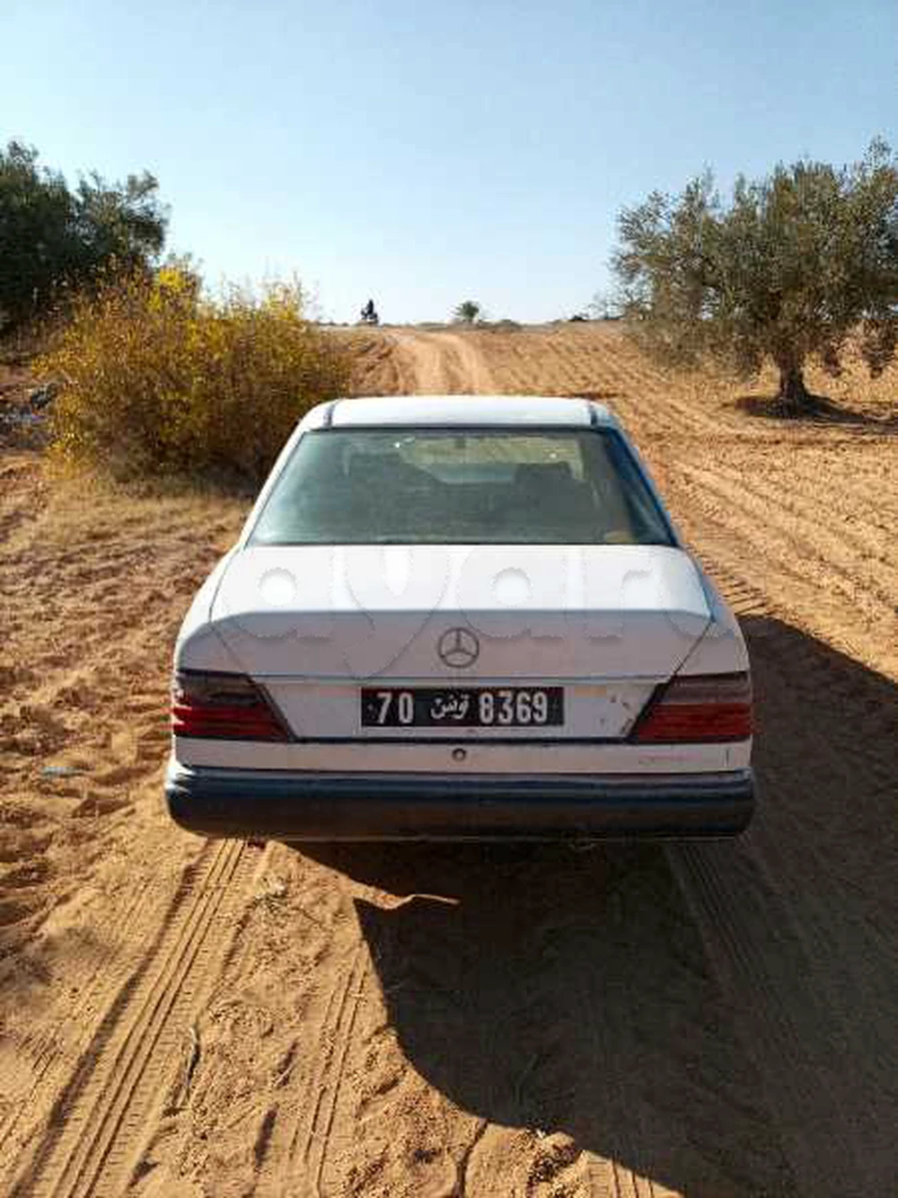 Mercedes-Benz 250