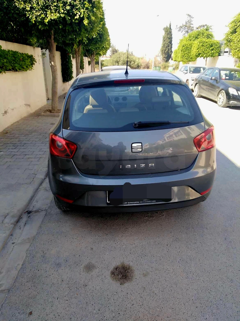 Carte voiture SEAT Ibiza