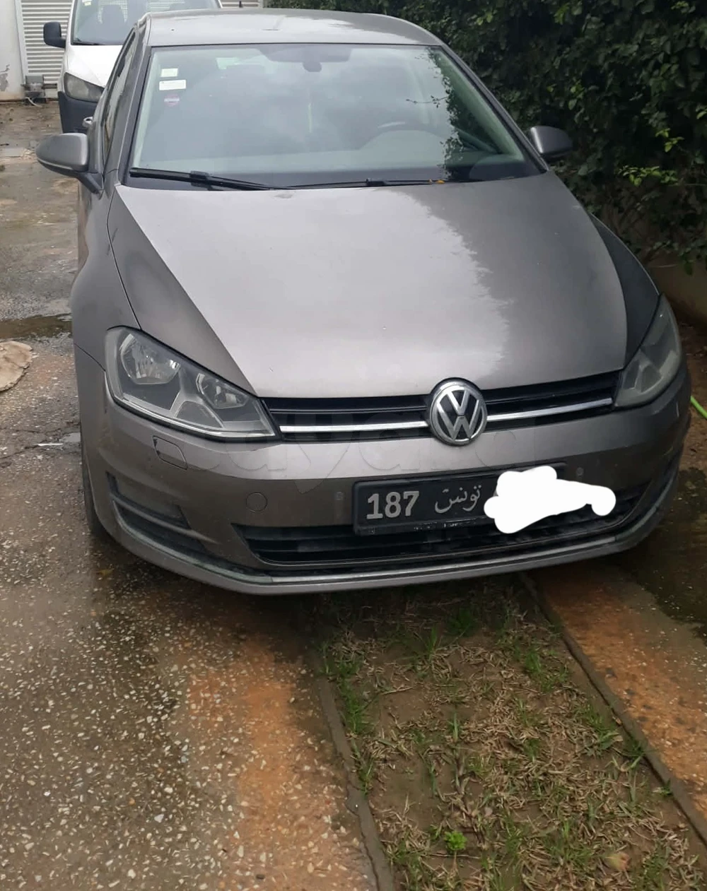 Carte voiture Volkswagen Golf