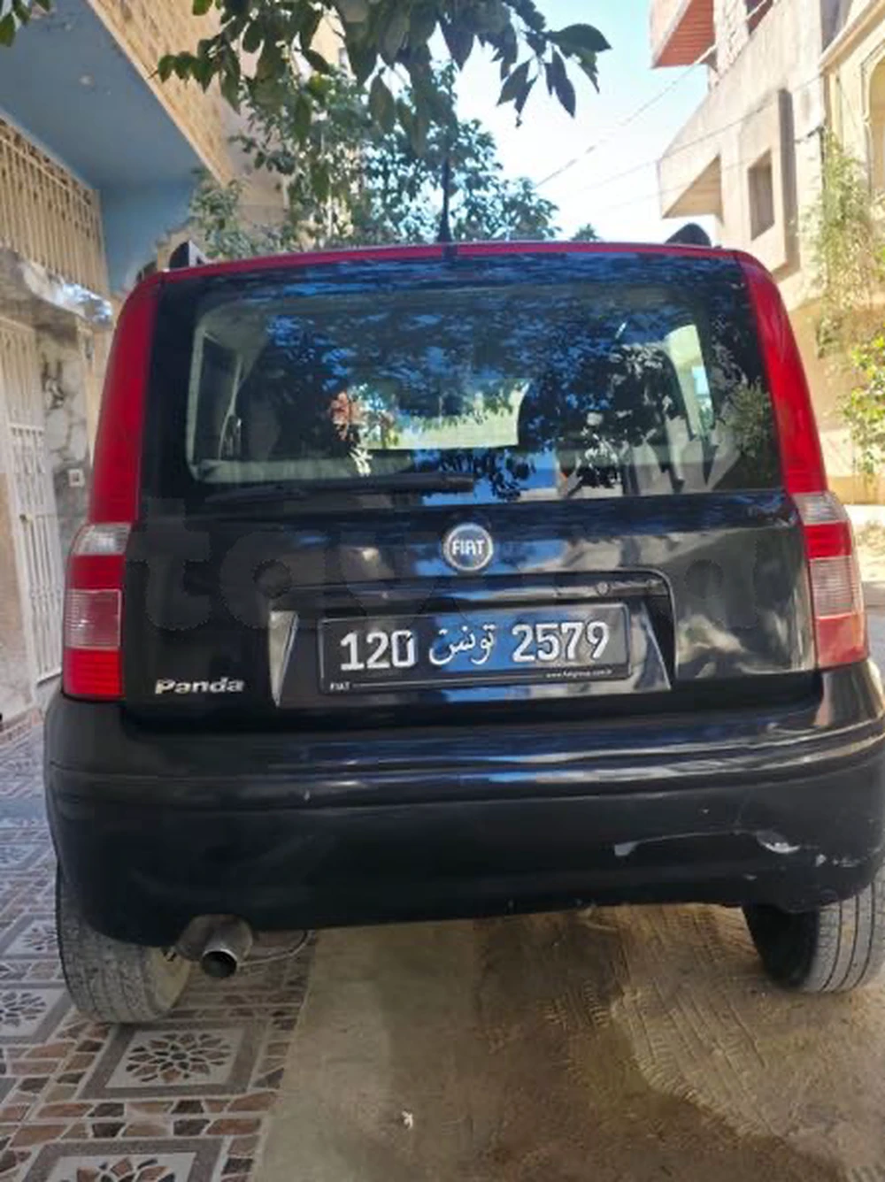 Carte voiture Fiat Panda