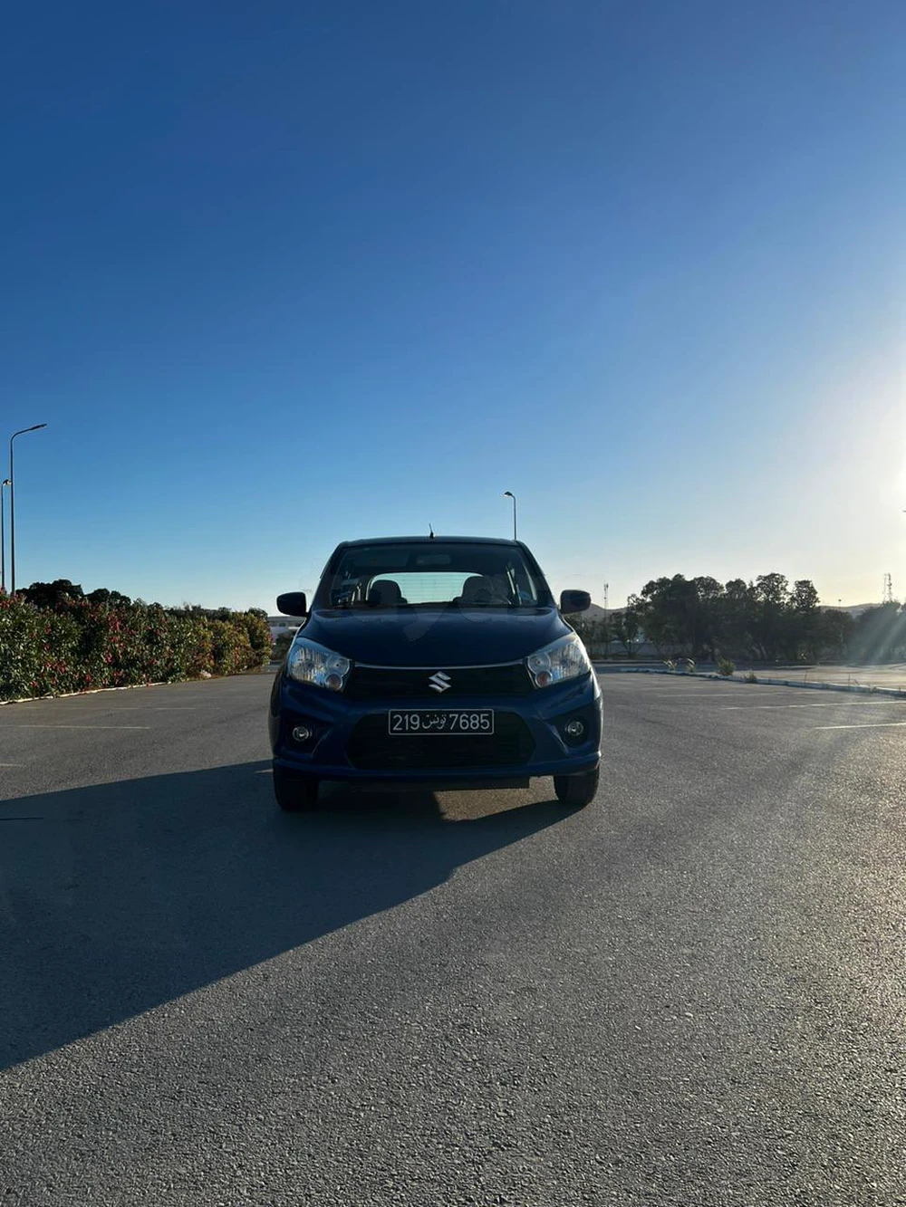 Carte voiture Suzuki Celerio