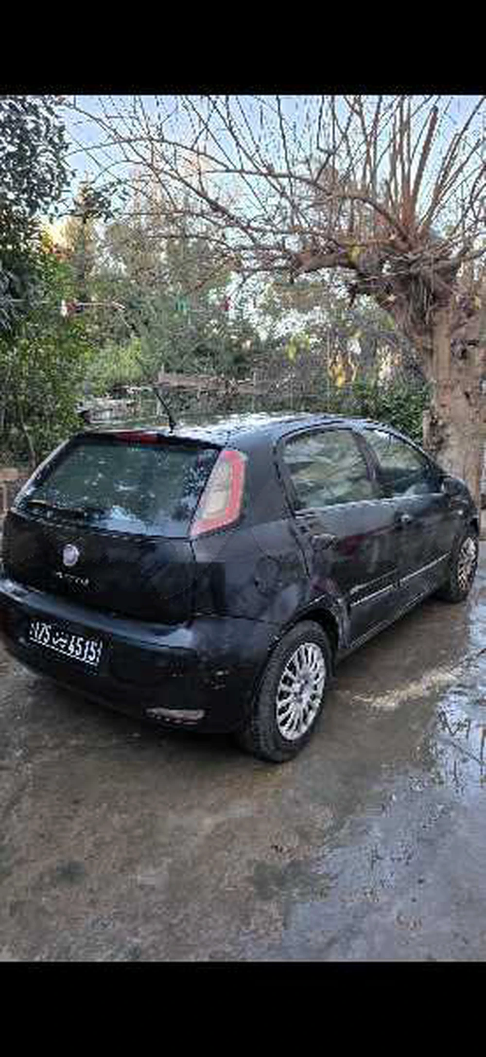 Carte voiture Fiat Punto