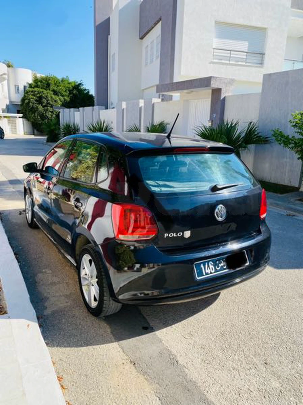 polo 7