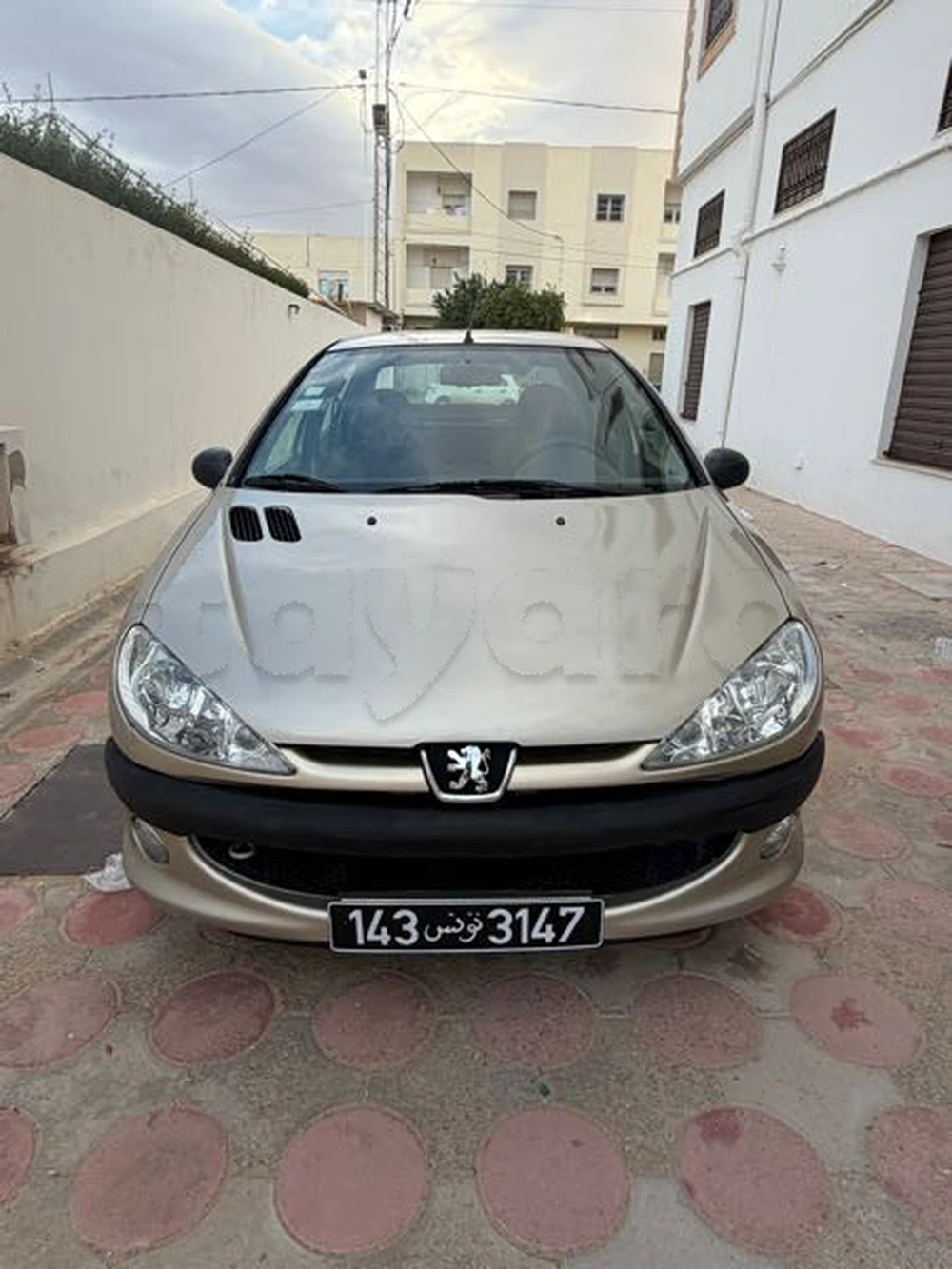 Carte voiture Peugeot 206