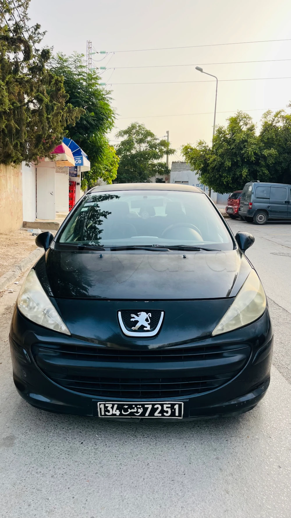 Carte voiture Peugeot 207