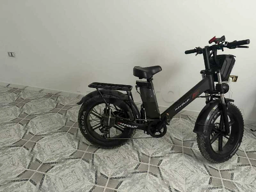 🚲 À VENDRE – Fat Bike Électrique HNHOLLIN ⚡