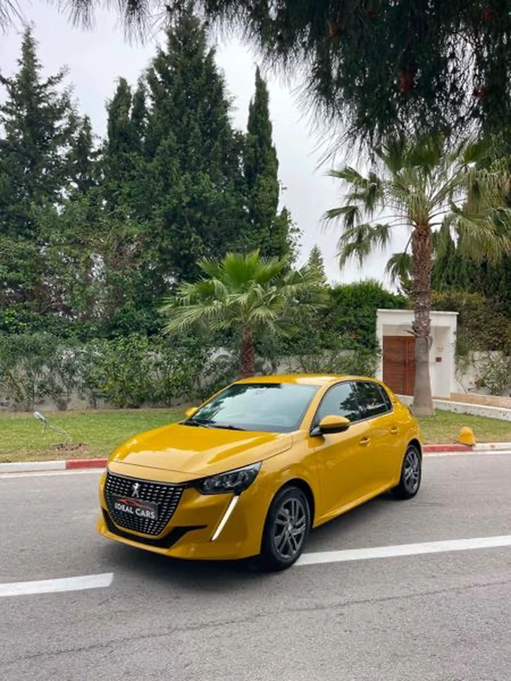 Carte voiture Peugeot 208