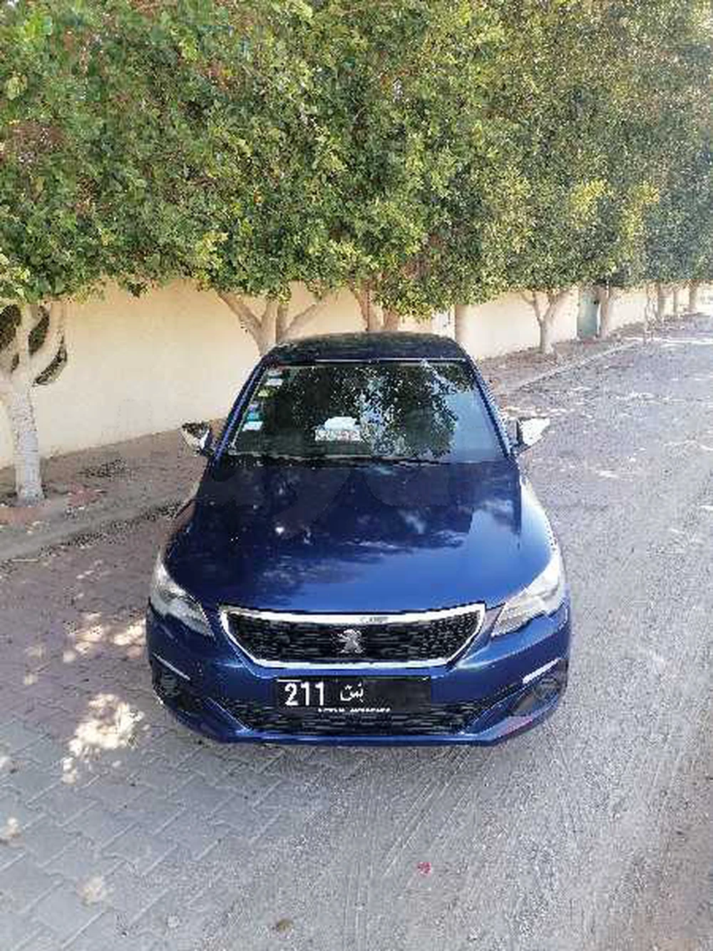 Carte voiture Peugeot 301