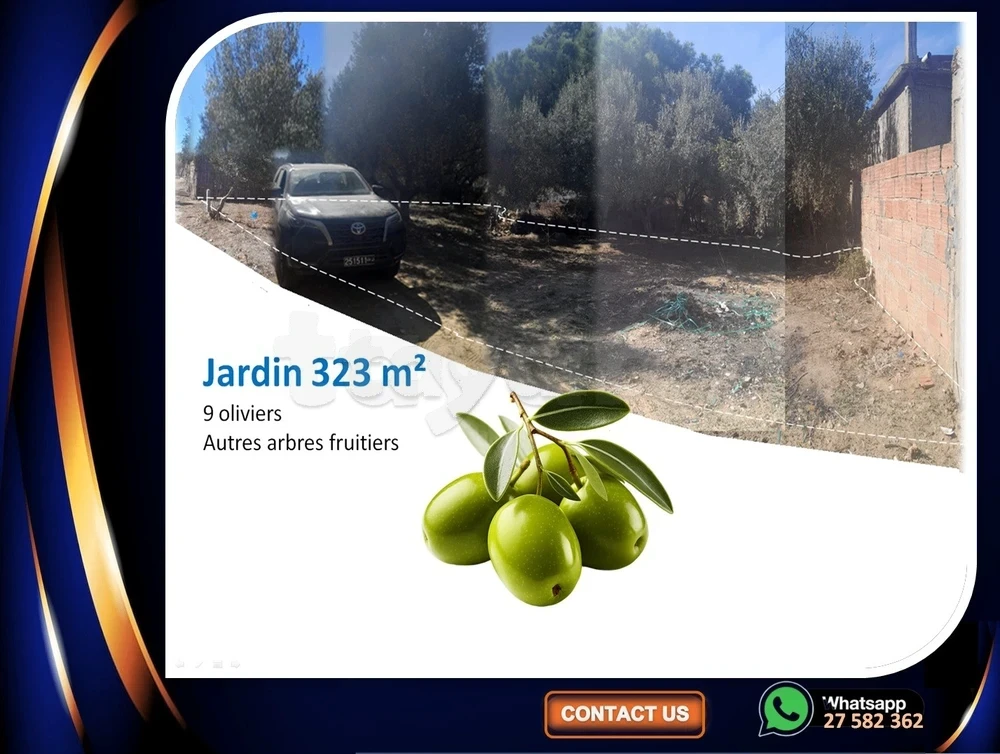 À Vendre : Maison + Grand Jardin (9 Oliviers) – Opportunité Rare à Louta / Bizerte Sud - Vista 4