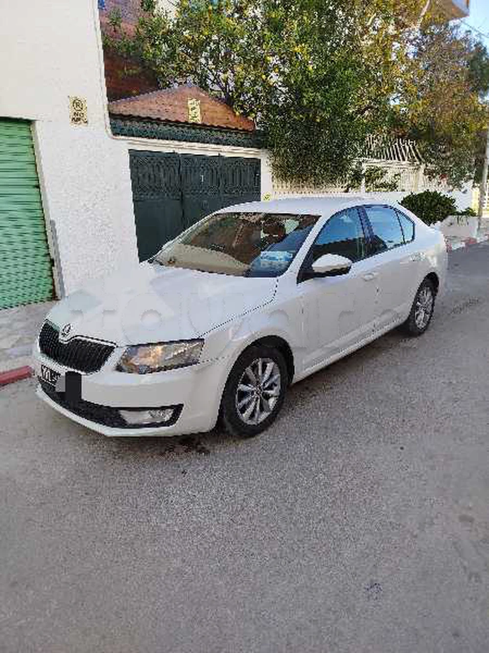 Carte voiture Skoda Octavia