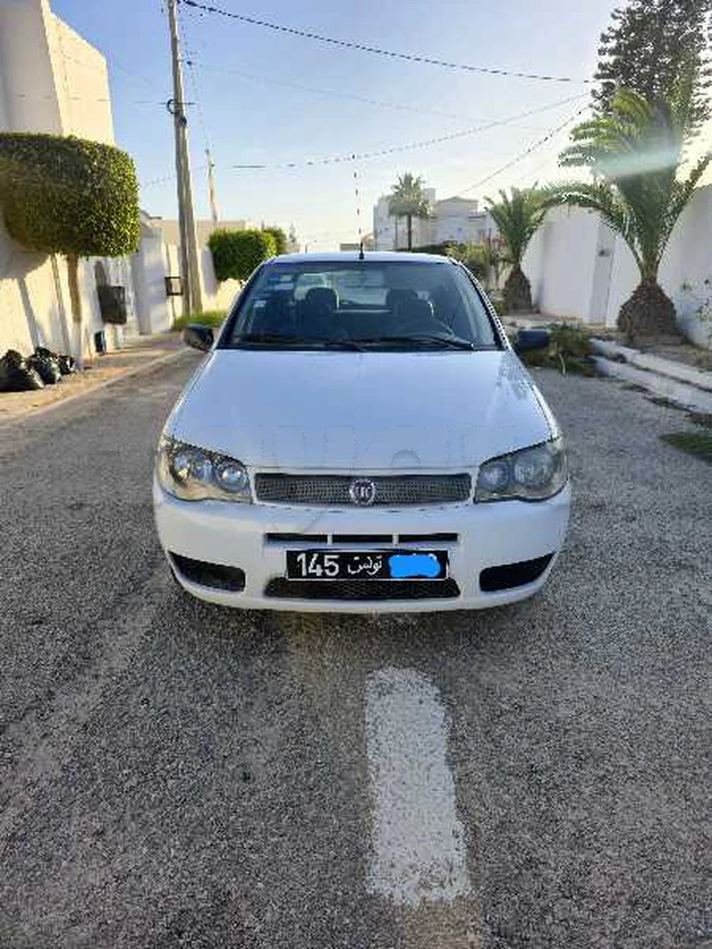 Carte voiture Fiat Palio