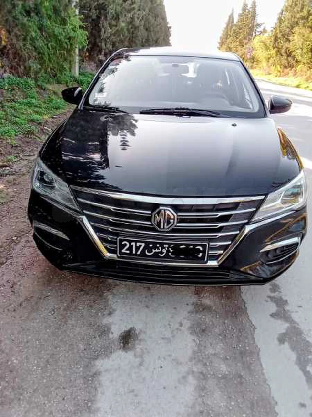 MG 5