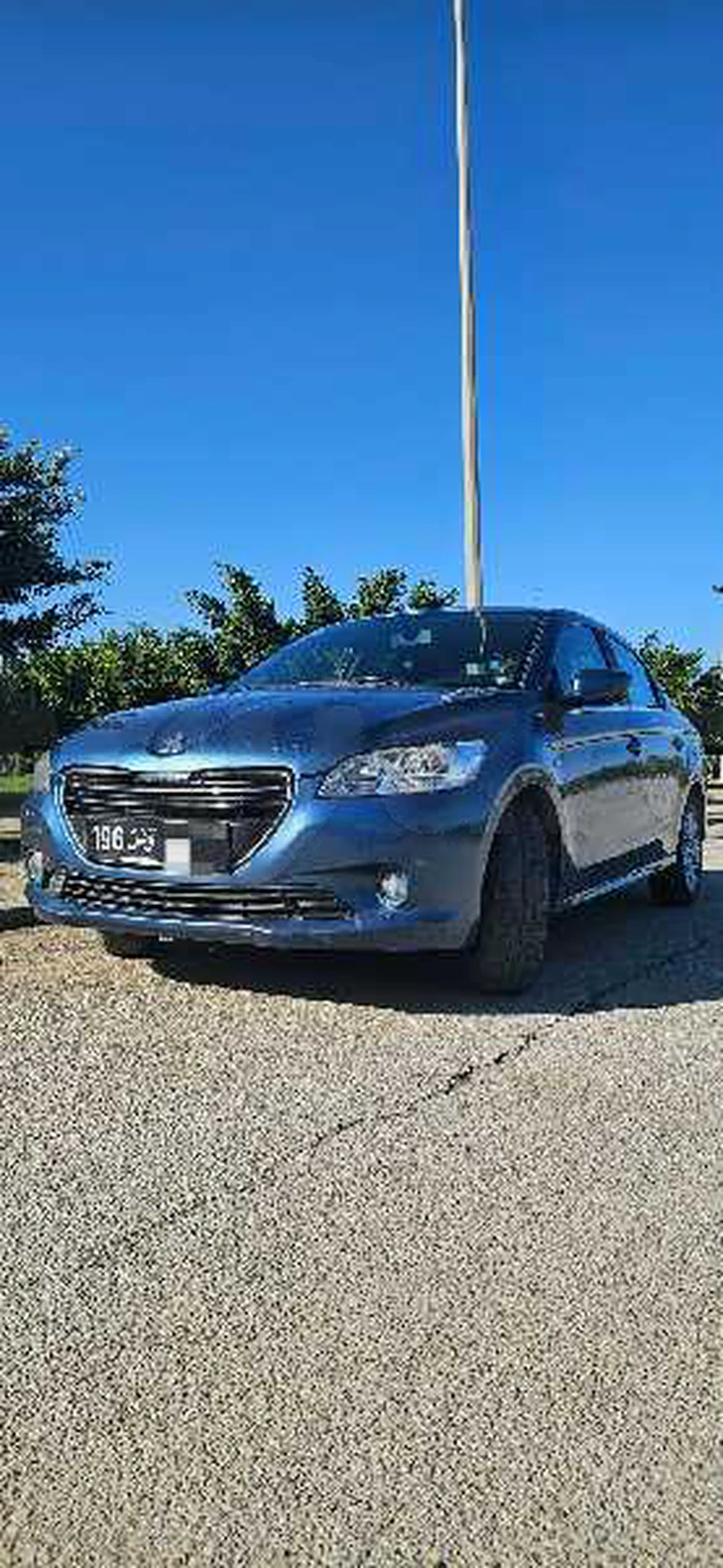 Carte voiture Peugeot 301