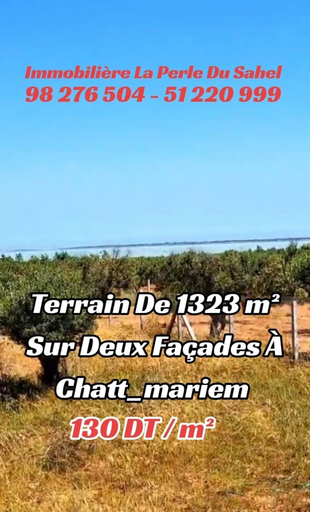 TERRAIN AGRICOLE DE 1323 m2 SUR DEUX FACADES A CHATT-MARIEM