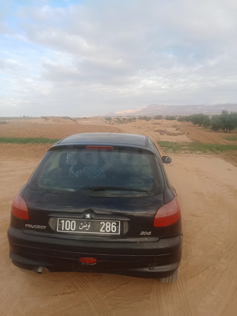 Peugeot 206