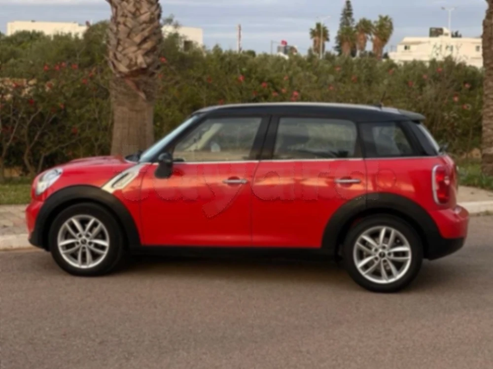 Mini Countryman