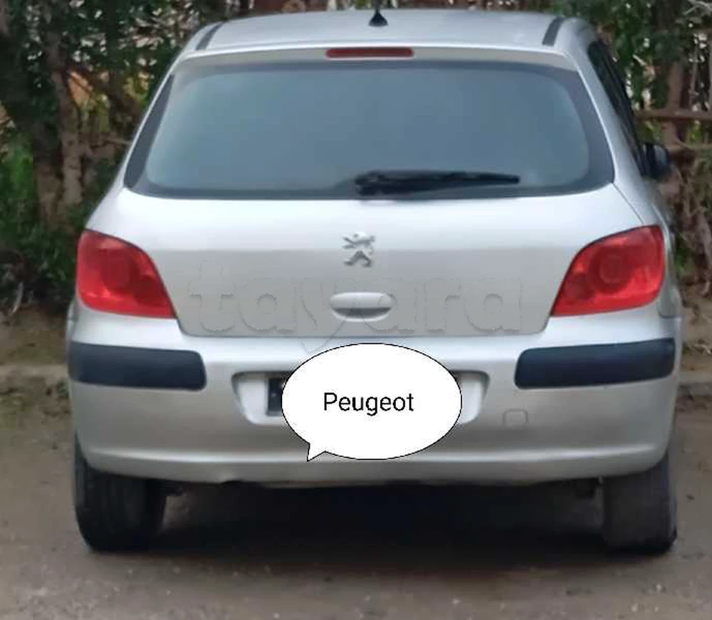 Carte voiture Peugeot 307