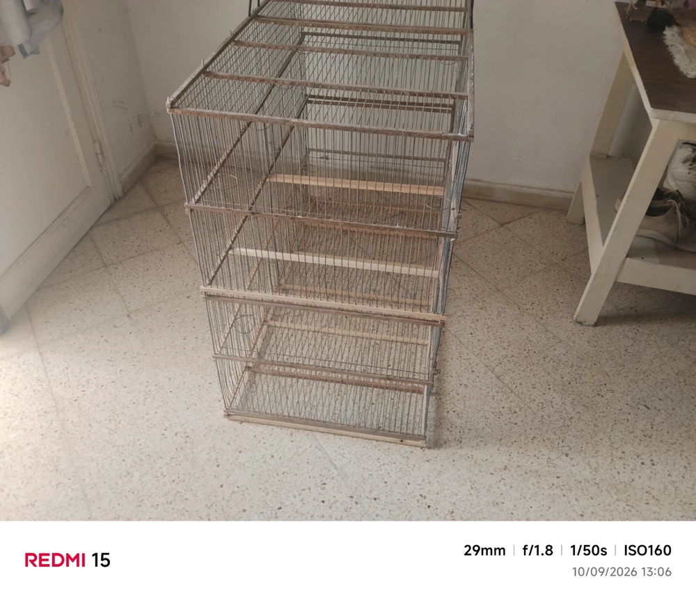 Cage des oiseaux