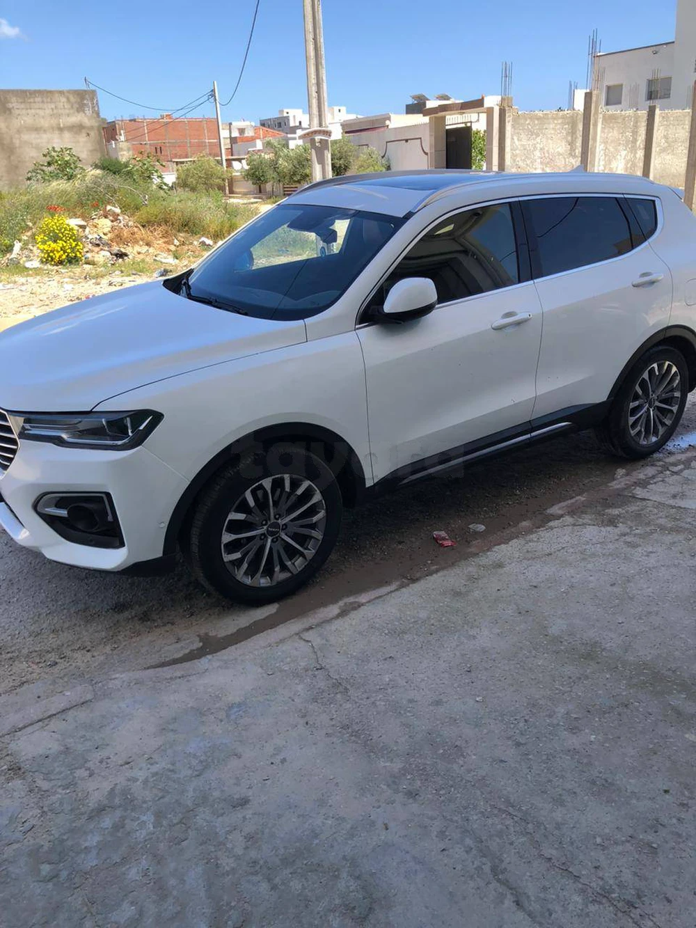 Carte voiture Haval H6