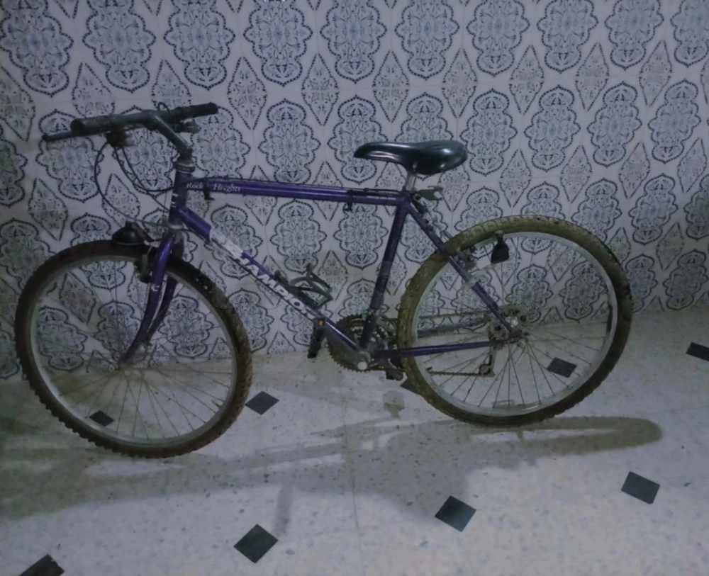 Des vélos à bas prix