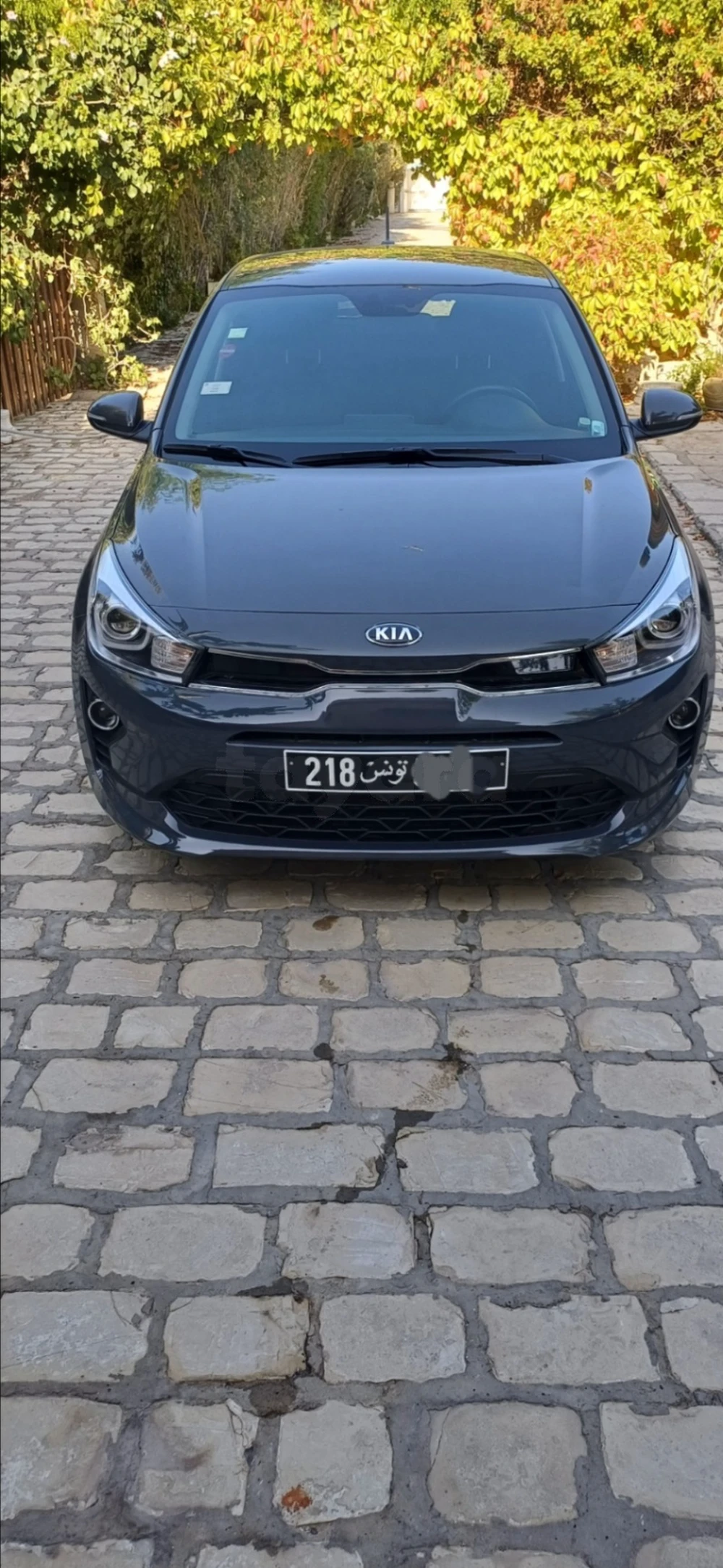 Carte voiture Kia Rio