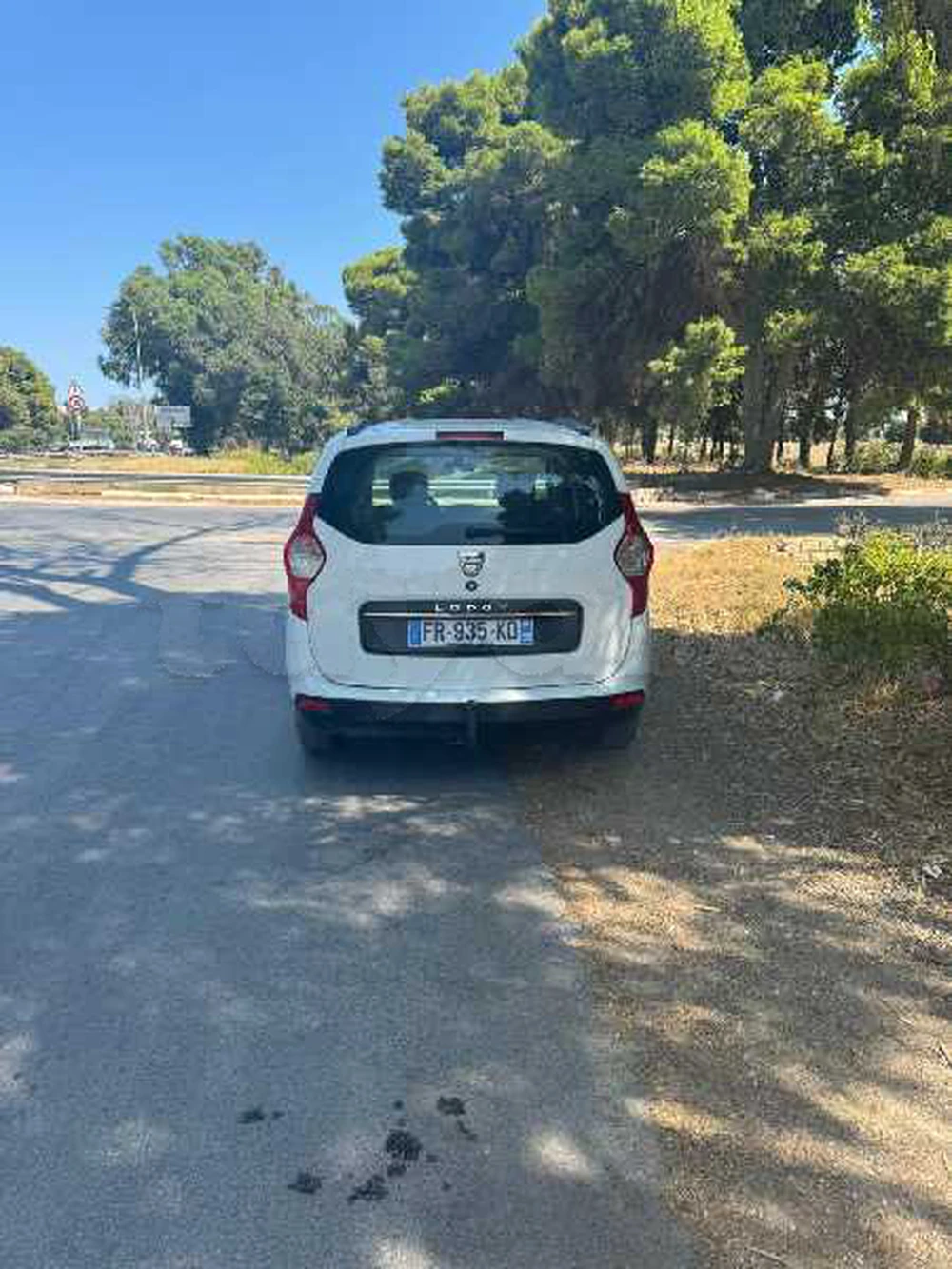 Dacia Lodgy